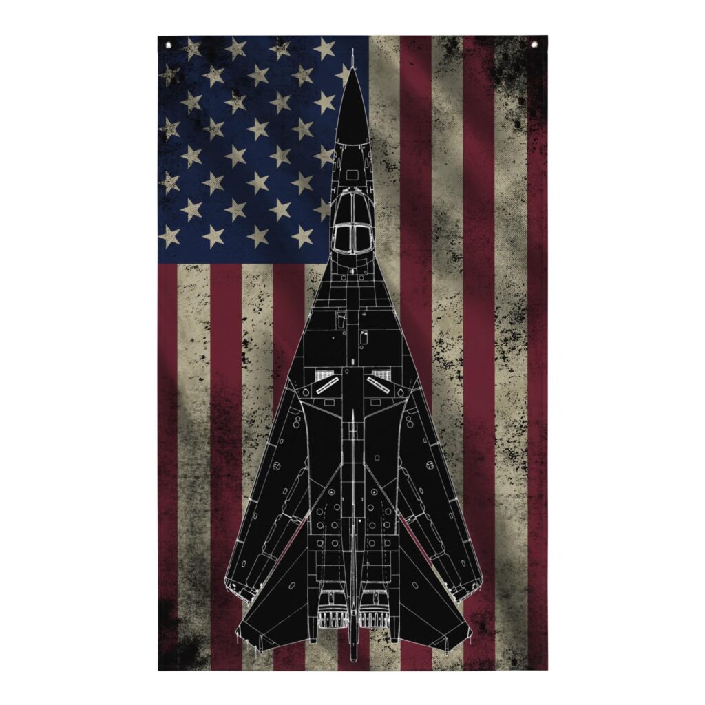 f-111 flag